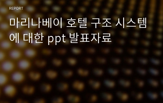 마리나베이 호텔 구조 시스템에 대한 ppt 발표자료