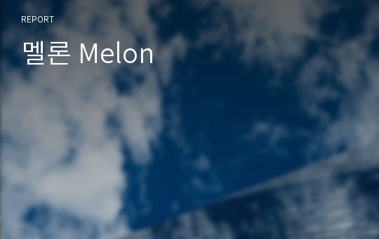 멜론 Melon