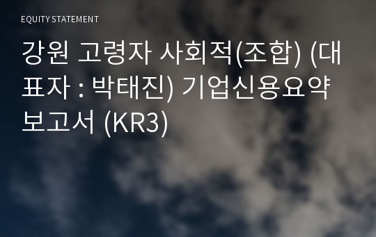 강원 고령자 사회적(기타) 기업신용요약보고서 (KR3)