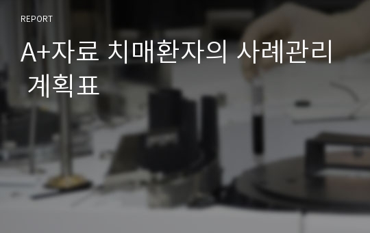 A+자료 치매환자의 사례관리 계획표