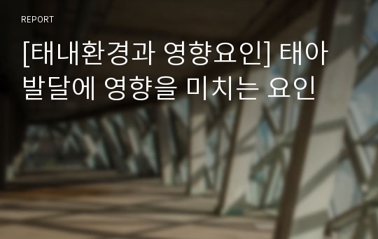 [태내환경과 영향요인] 태아발달에 영향을 미치는 요인