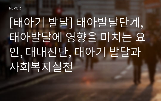 [태아기 발달] 태아발달단계, 태아발달에 영향을 미치는 요인, 태내진단, 태아기 발달과 사회복지실천