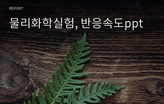 물리화학실험, 반응속도ppt