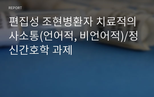 편집성 조현병환자 치료적의사소통(언어적, 비언어적)/정신간호학 과제