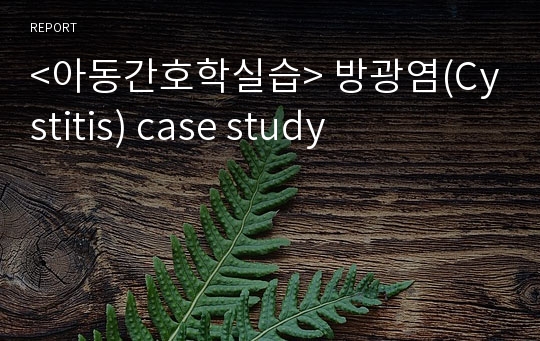 &lt;아동간호학실습&gt; 방광염(Cystitis) case study