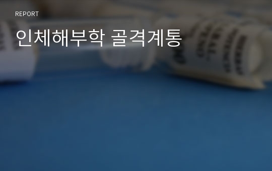 인체해부학 골격계통