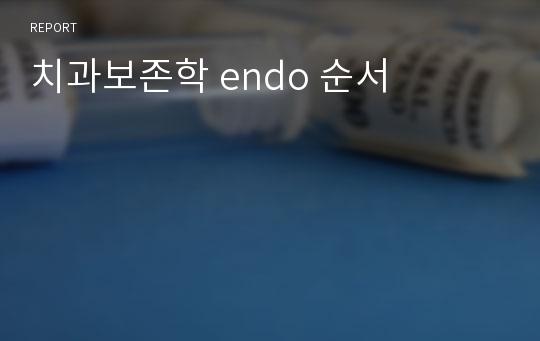 치과보존학 endo 순서