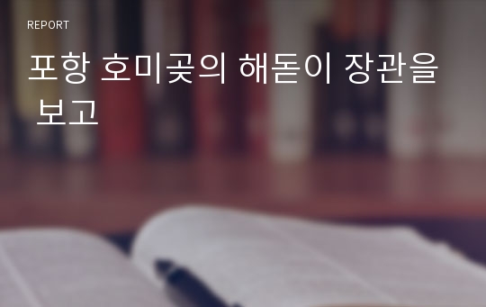 포항 호미곶의 해돋이 장관을 보고