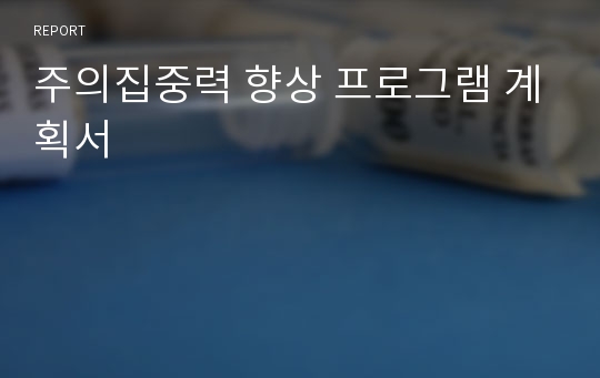 주의집중력 향상 프로그램 계획서