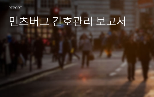 민츠버그 간호관리 보고서