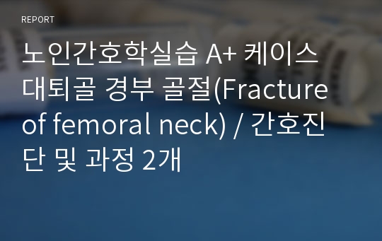 노인간호학실습 A+ 케이스 대퇴골 경부 골절(Fracture of femoral neck) / 간호진단 및 과정 2개