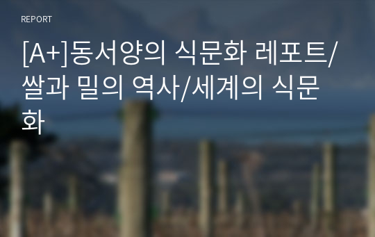 [A+]동서양의 식문화 레포트/쌀과 밀의 역사/세계의 식문화