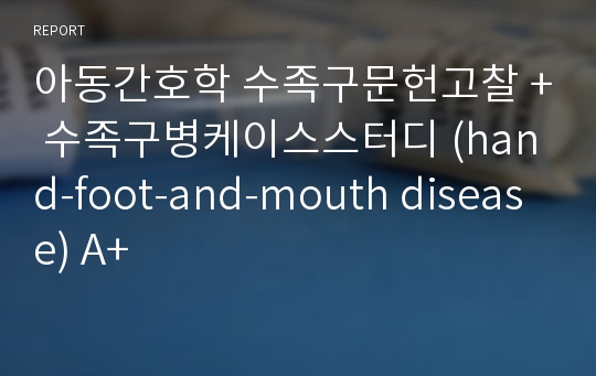 아동간호학 수족구문헌고찰 + 수족구병케이스스터디 (hand-foot-and-mouth disease) A+