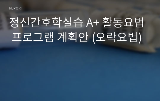 정신간호학실습 A+ 활동요법 프로그램 계획안 (오락요법)