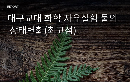 대구교대 화학 자유실험 물의 상태변화(최고점)