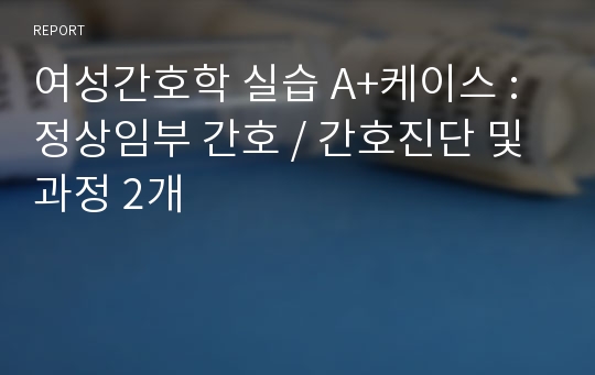 여성간호학 실습 A+케이스 : 정상임부 간호 / 간호진단 및 과정 2개