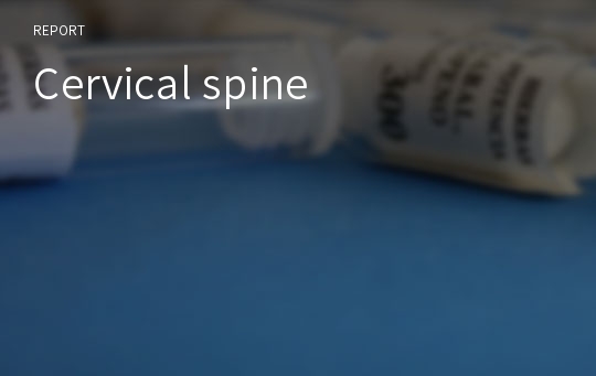 Cervical spine