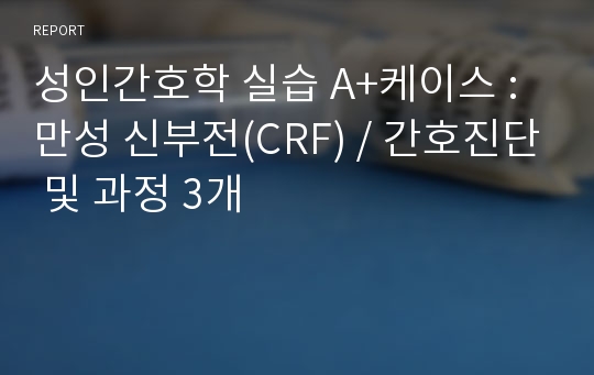 성인간호학 실습 A+케이스 : 만성 신부전(CRF) / 간호진단 및 과정 3개