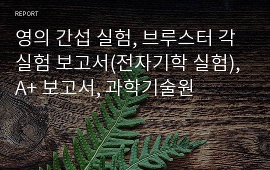 영의 간섭 실험, 브루스터 각 실험 보고서(전자기학 실험), A+ 보고서, 과학기술원