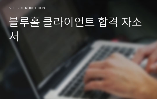 블루홀 클라이언트 합격 자소서