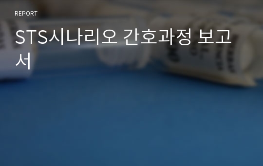 STS시나리오 간호과정 보고서