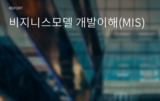 비지니스모델 개발이해(MIS)