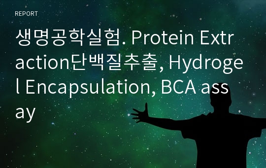 생명공학실험. Protein Extraction단백질추출, Hydrogel Encapsulation, BCA assay