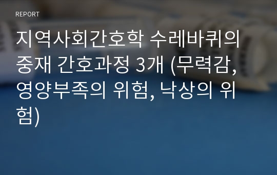 지역사회간호학 수레바퀴의 중재 간호과정 3개 (무력감, 영양부족의 위험, 낙상의 위험)