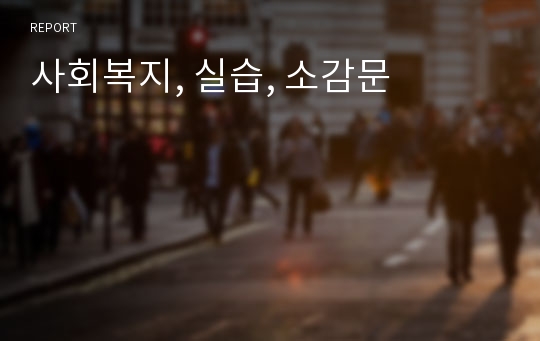 사회복지, 실습, 소감문