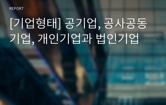 [기업형태] 공기업, 공사공동기업, 개인기업과 법인기업