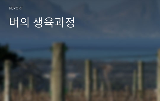 벼의 생육과정