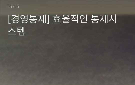 [경영통제] 효율적인 통제시스템