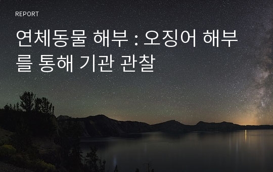 연체동물 해부 : 오징어 해부를 통해 기관 관찰