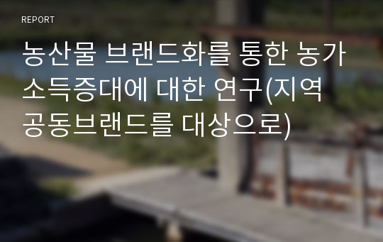 농산물 브랜드화를 통한 농가소득증대에 대한 연구(지역 공동브랜드를 대상으로)