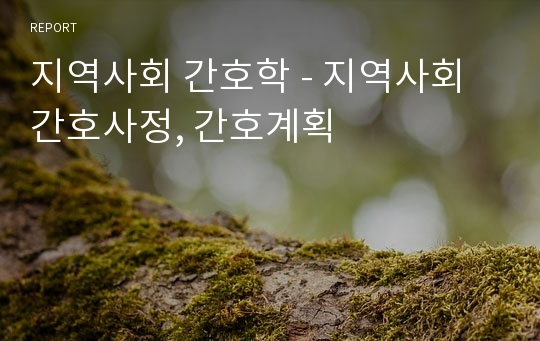 지역사회 간호학 - 지역사회 간호사정, 간호계획