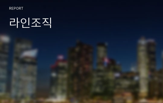 라인조직