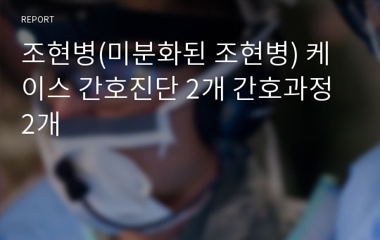 조현병(미분화된 조현병) 케이스 간호진단 2개 간호과정 2개