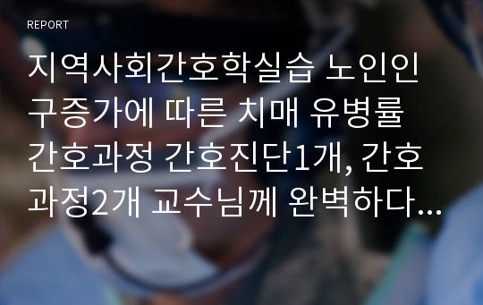 지역사회간호학실습 노인인구증가에 따른 치매 유병률 간호과정 간호진단1개, 간호과정2개 교수님께 완벽하다고 칭찬받은 자료 성적 A받음