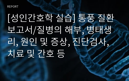 [성인간호학 실습] 통풍 질환보고서/질병의 해부, 병태생리, 원인 및 증상, 진단검사, 치료 및 간호 등