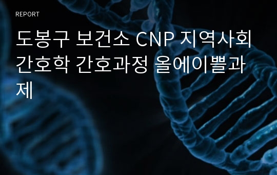 도봉구 보건소 CNP 지역사회간호학 간호과정 올에이쁠과제