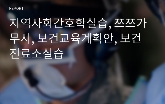 지역사회간호학실습, 쯔쯔가무시, 보건교육계획안, 보건진료소실습