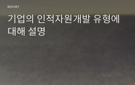 기업의 인적자원개발 유형에 대해 설명