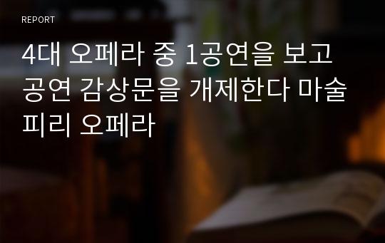 4대 오페라 중 1공연을 보고 공연 감상문을 개제한다 마술피리 오페라