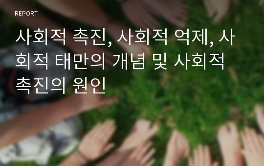 사회적 촉진, 사회적 억제, 사회적 태만의 개념 및 사회적 촉진의 원인