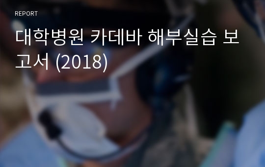 대학병원 카데바 해부실습 보고서 (2018)