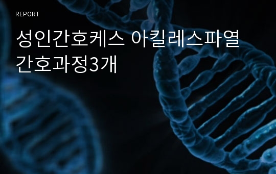 성인간호케스 아킬레스파열 간호과정3개