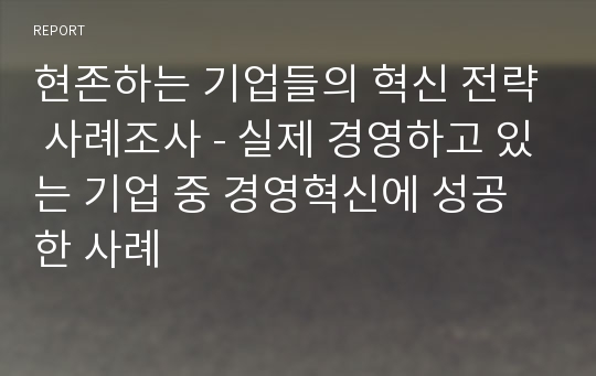 현존하는 기업들의 혁신 전략 사례조사 - 실제 경영하고 있는 기업 중 경영혁신에 성공한 사례