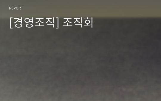 [경영조직] 조직화