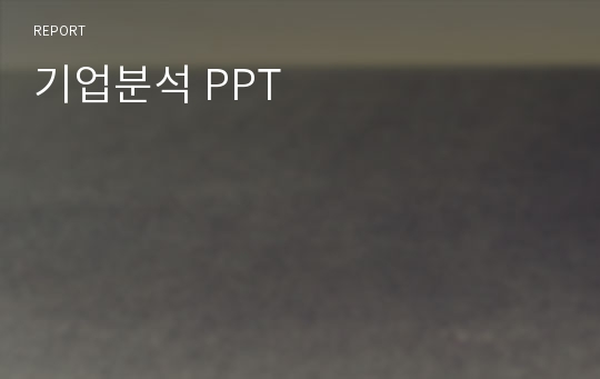 기업분석 PPT