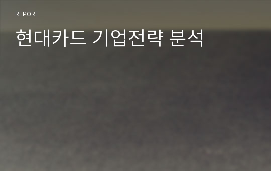 현대카드 기업전략 분석